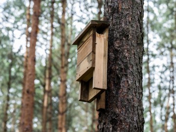 Letnie działania w Przedborskim Parku Krajobrazowym 2025, 